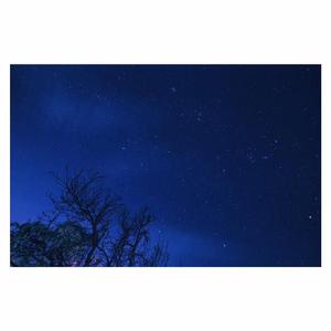 曰批全过程免费视频在线观看网站
