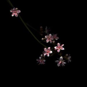 曰批全过程免费视频在线观看网站
