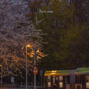 曰批全过程免费视频在线观看网站
