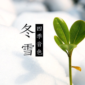 曰批全过程免费视频在线观看网站
